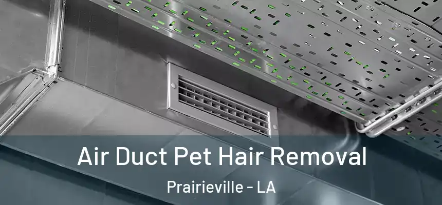  Air Duct Pet Hair Removal Prairieville - LA