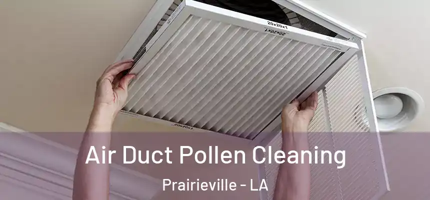  Air Duct Pollen Cleaning Prairieville - LA