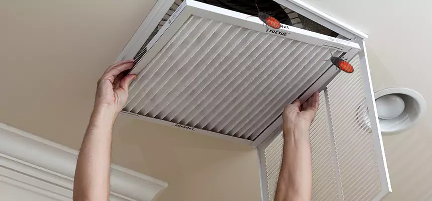Preventive Cockroach-Proofing for Ducts in Prairieville