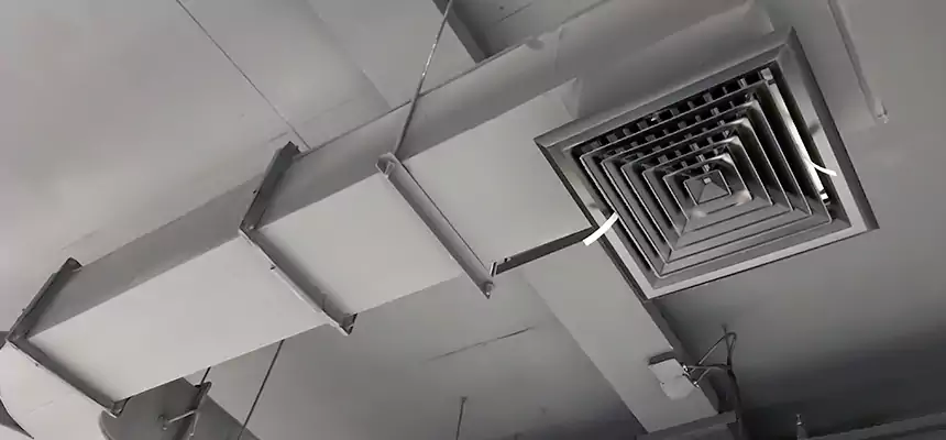 Restorative Allergy Relief Vent Cleaning – Coil, Blower & Housing Detail in Prairieville