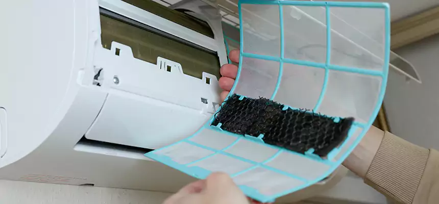 Gentle Ductwork Odor-Control Pet Dander Duct Cleaning in Prairieville, LA