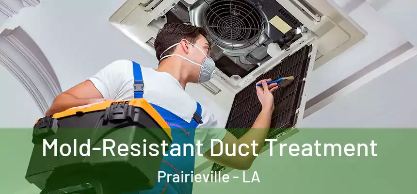  Mold-Resistant Duct Treatment Prairieville - LA