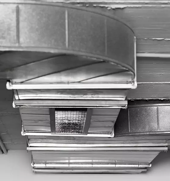 Professional Air Duct Pet Hair Removal in Prairieville, LA