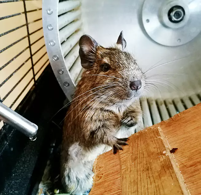 Why Homeowners & Businesses Trust Us Prairieville, LA?