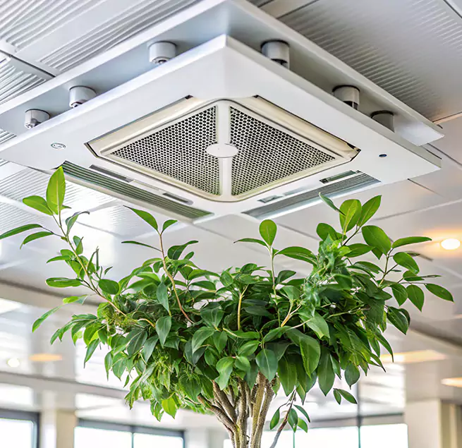 Why Homeowners & Businesses Trust Us in Prairieville, LA?