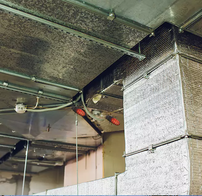 Why Homeowners & Businesses Trust Us Prairieville, LA?